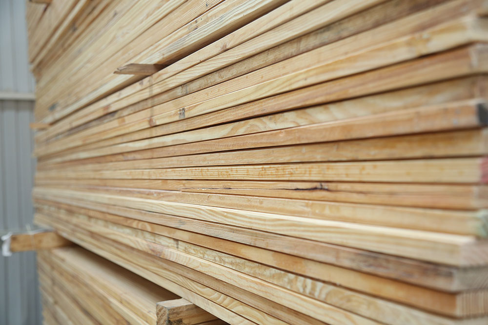 Gỗ nguyên liệu sử dụng làm gỗ biến tính